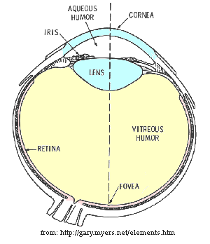 Re: Eyes - retinas of various animals ...see comments section please...